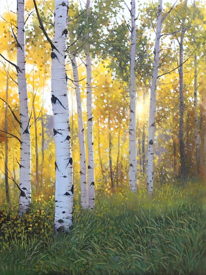 Autumn Trail visualization