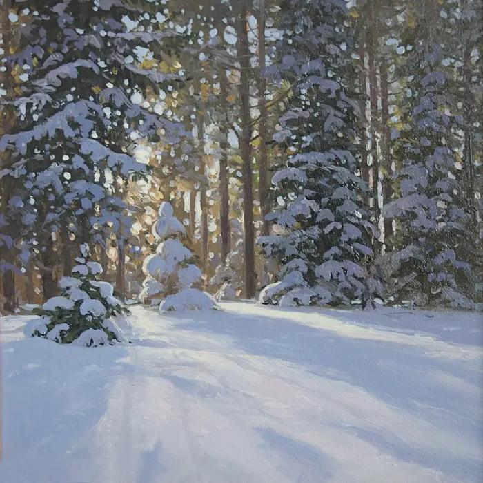 Chasing Winter's Sun visualization