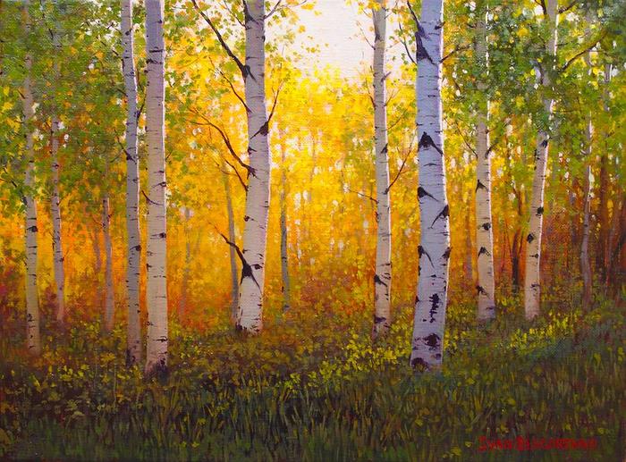 Fall Colors visualization