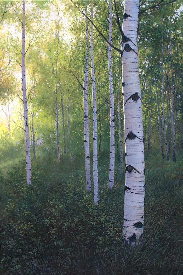 Aspen Grove visualization
